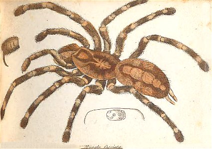 n152_w1150