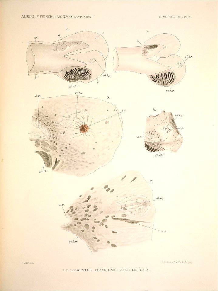 n110_w1150