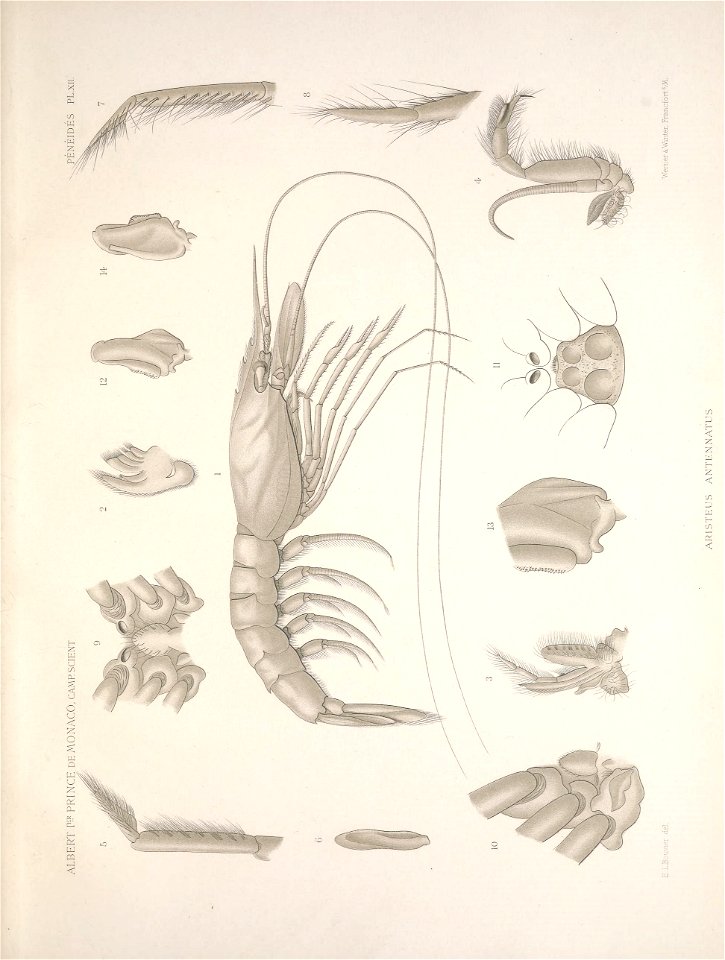 n182_w1150
