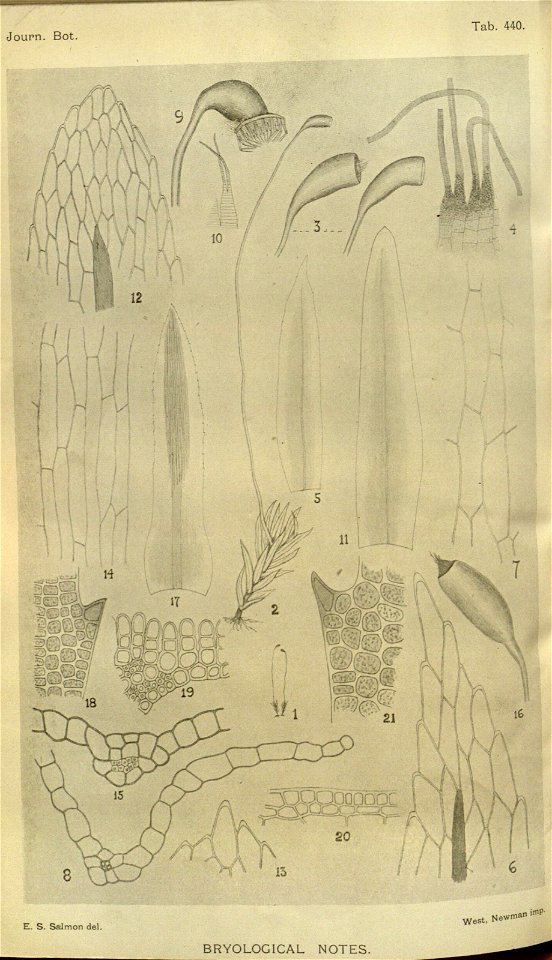 n357_w1150
