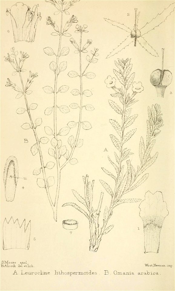 n277_w1150