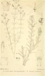 n277_w1150