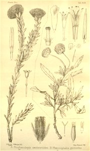 n178_w1150