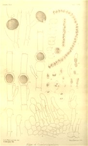 n59_w1150
