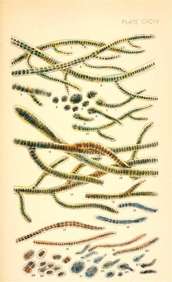 n564_w1150