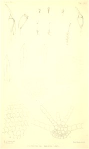 n497_w1150