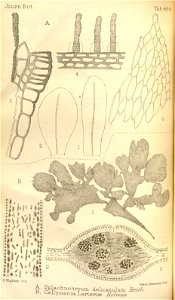 n97_w1150