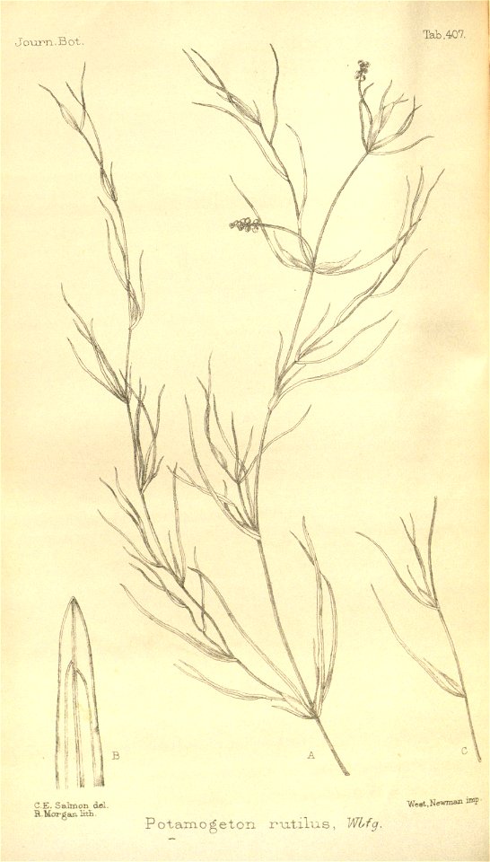 n80_w1150