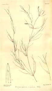 n80_w1150