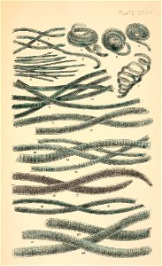n616_w1150
