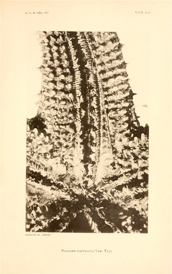 n176_w1150