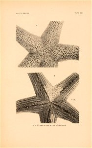 n56_w1150
