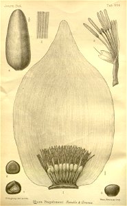 n209_w1150