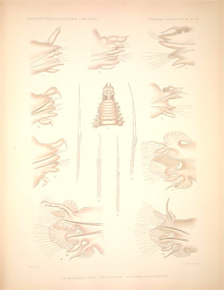 n190_w1150
