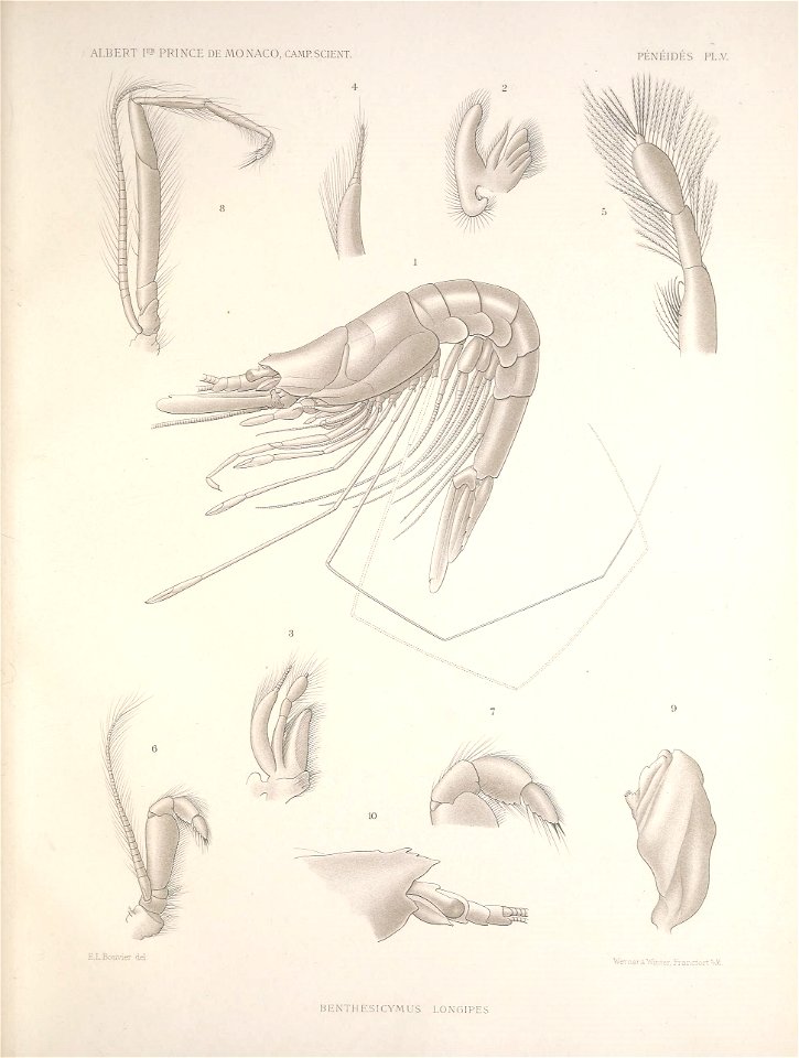 n154_w1150