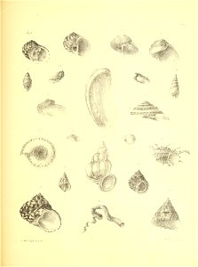 n88_w1150