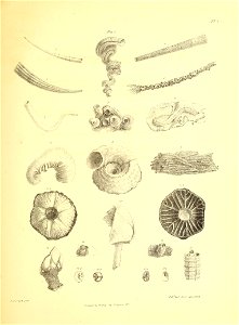 n58_w1150