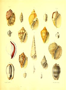 n136_w1150