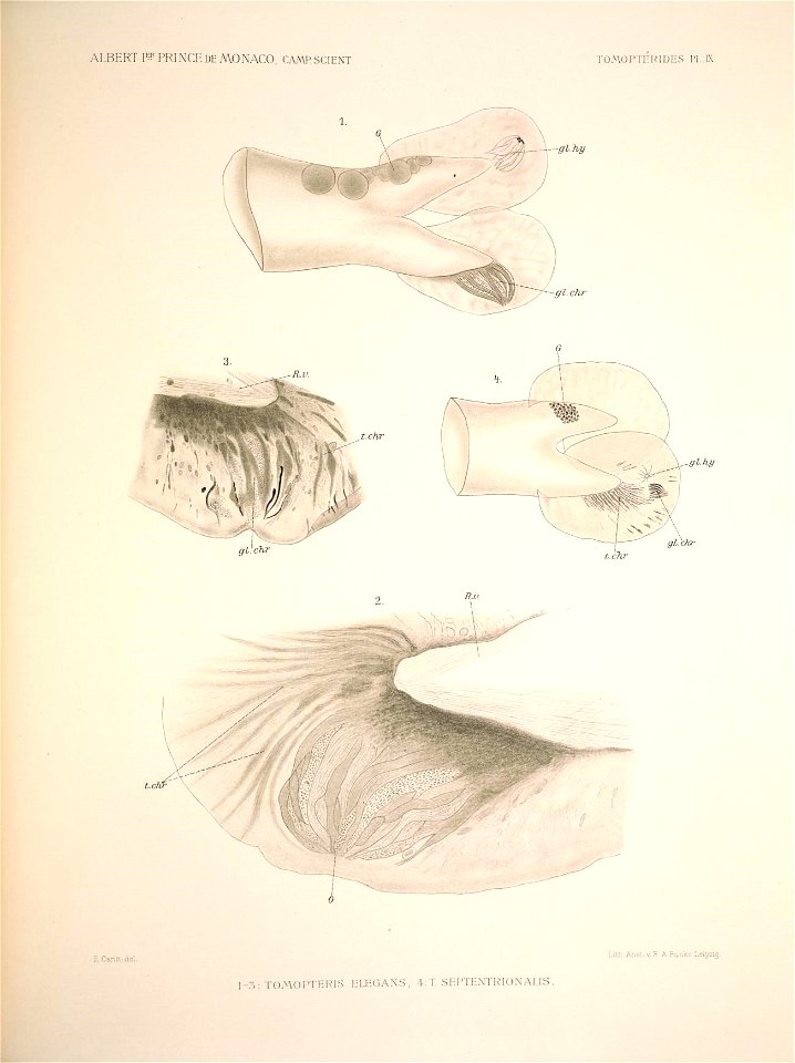 n106_w1150