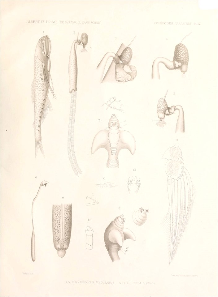 n120_w1150