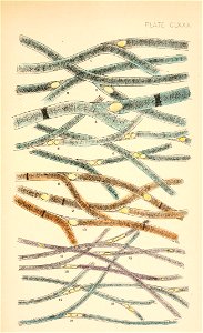n508_w1150