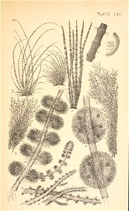 n44_w1150
