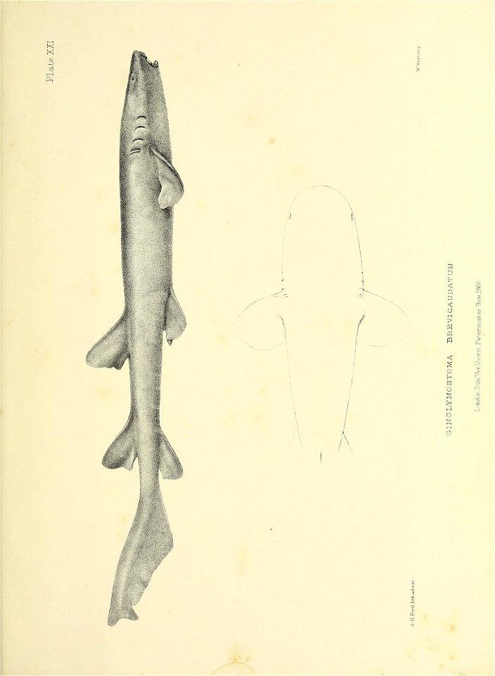 n216_w1150