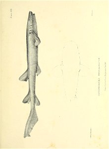 n216_w1150