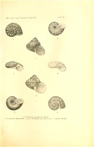 n308_w1150