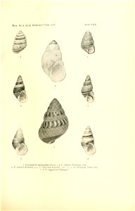 n248_w1150