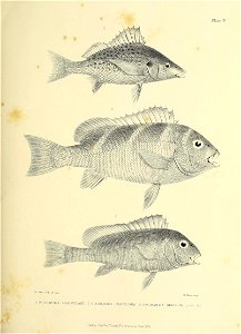 n184_w1150