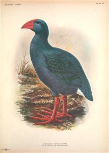 n358_w1150