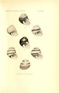 n106_w1150