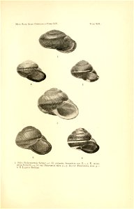 n46_w1150