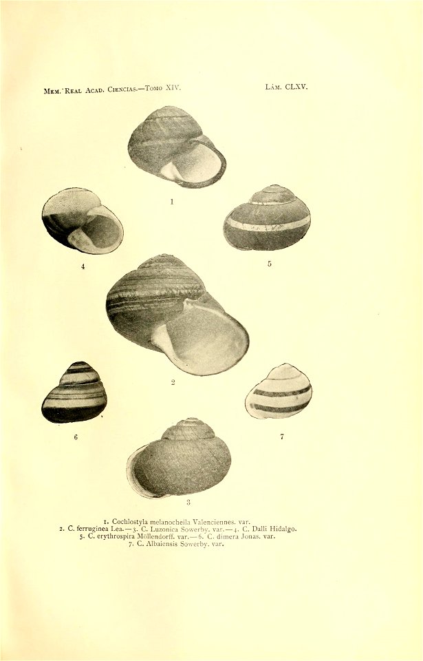 n366_w1150
