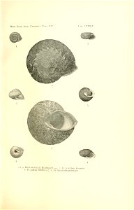 n276_w1150