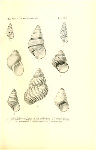 n246_w1150