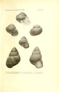 n216_w1150