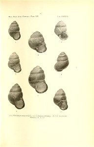 n186_w1150