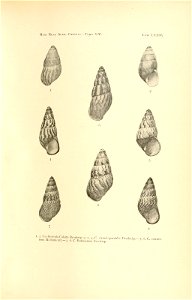 n156_w1150