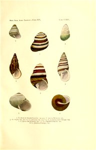 n364_w1150