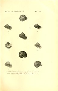 n334_w1150