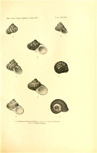 n304_w1150
