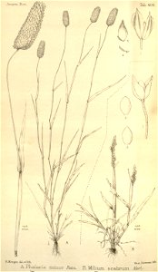 n43_w1150
