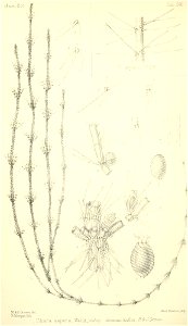 n437_w1150