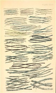 n612_w1150