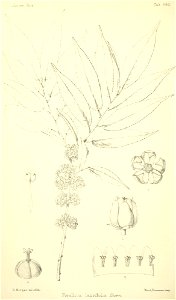 n355_w1150