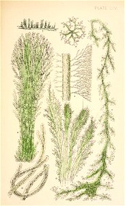 n208_w1150