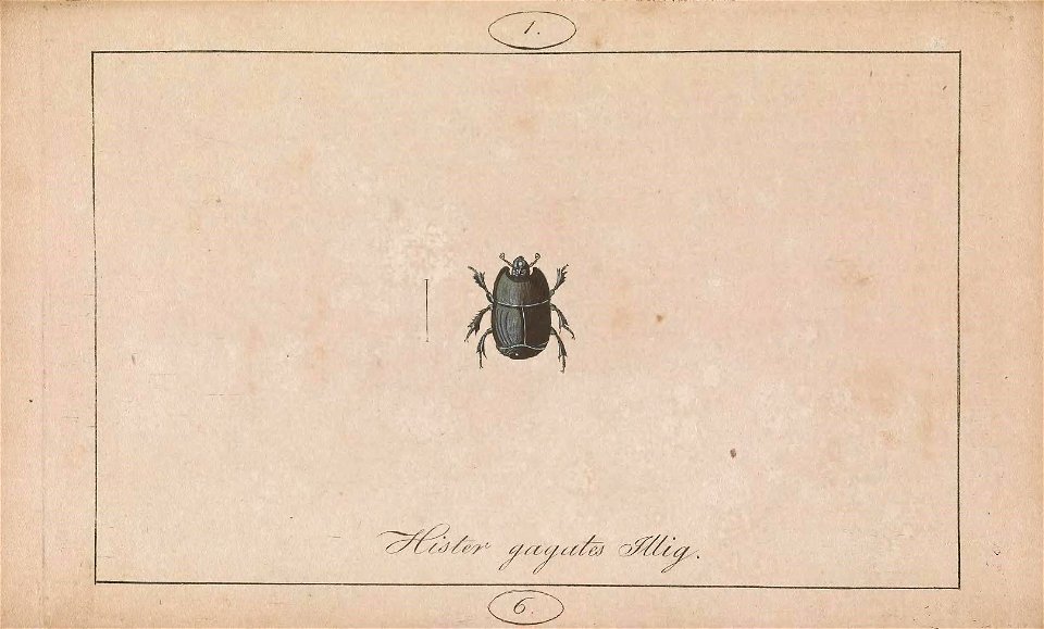 n36_w1150