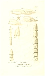 n297_w1150